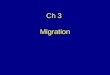 Ch 3 Migration. Key Issues 1.Why do people Migrate? 2.Where are migrants distributed? 3.Why do migrants face obstacles? 4.Why do people migrate within