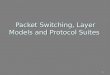 1 Packet Switching, Layer Models and Protocol Suites