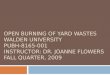 OPEN BURNING OF YARD WASTES WALDEN UNIVERSITY PUBH-8165-001 INSTRUCTOR: DR. JOANNE FLOWERS FALL QUARTER, 2009