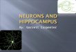 By: Garrett Carpenter Neurons are defined as brain cells that manifest all properties of the mind. Neurons send and receive information. Neurons come