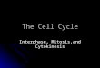 The Cell Cycle Interphase, Mitosis,and Cytokinesis