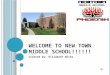 W ELCOME TO NEW TOWN MIDDLE SCHOOL !!!!!! Created by: Elizabeth Wicks