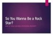 So You Wanna Be a Rock Star? WHAT IS IT REALLY LIKE BEING A PROFESSIONAL MUSICIAN???