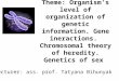 Theme: Organism’s level of organization of genetic information. Gene ineractions. Chromosomal theory of heredity. Genetics of sex Lecturer: ass. prof