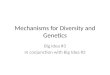 Mechanisms for Diversity and Genetics Big Idea #3 In conjunction with Big Idea #2