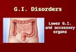 G.I. Disorders Lower G.I. and accessory organs. Irritable Bowel Syndrome Approximately 5 million people in the U.S. suffer with the syndrome Approximately