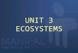 UNIT 3 ECOSYSTEMS. Ecosystem Definition: The living community of plants and animals (Biotic) in any area together with the non-living components of the