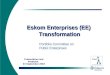 Presentation and Feedback 03 September 2003 Project Lambda Eskom Enterprises (EE) Transformation Transformation Portfolio Committee on Public Enterprises