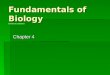 Fundamentals of Biology Flatworm segment Flatworm segment Flatworm segment Chapter 4