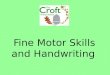 Fine Motor Skills and Handwriting. What are Fine Motor Skills? Fine motor skills are small movements — such as picking up small objects and holding a