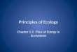 Principles of Ecology Chapter 2.2: Flow of Energy in Ecosystems
