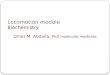 Locomotion module Biochemistry Omer M. Abdalla, PhD molecular medicine