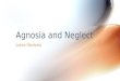 Justice Obiahuba Agnosia and Neglect. Introduction Definitions and Distinctions Types of Visual Agnosia Visual Processing Model Neuroanatomy of Agnosia