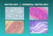 HISTOLOGY I.: GENERAL HISTOLOGY. General histology describes: the origin of a given tissue the morphology of tissue components, the function of the tissue