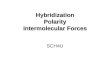 Hybridization Polarity Intermolecular Forces SCH4U