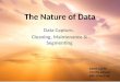 The Nature of Data Data Capture, Cleaning, Maintenance & Segmenting Karen Clarke Charity Advisor BRG Direct Ltd