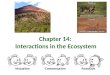 Chapter 14: Interactions in the Ecosystem. Niche versus Habit? Habitat Habitat – describes all of the abiotic and biotic factors in the area where an