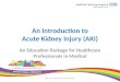 An Introduction to Acute Kidney Injury (AKI) An Education Package for Healthcare Professionals in Medical Directorates STH Acute Kidney Injury (AKI) Project1