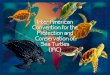 Inter-American Convention for the Protection and Conservation of Sea Turtles (IAC) A unique inter-governmental treaty that provides the legal framework