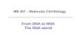 From DNA to RNA The RNA world MB 207 – Molecular Cell Biology