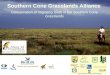 Southern Cone Grasslands Alliance Conservation of migratory birds in the Southern Cone Grasslands