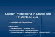 Cluster Phenomena in Stable and Unstable Nuclei Cluster Phenomena in Stable and Unstable Nuclei Y. Kanada-En’yo (Kyoto Univ.) Collaborators: Y. Hidaka(RIKEN),