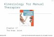 17-1 Kinesiology for Manual Therapies Chapter 17 The Knee Joint McGraw-Hill © 2011 by The McGraw-Hill Companies, Inc. All rights reserved