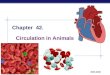 AP Biology 2005-2006 Chapter 42. Circulation in Animals