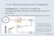3.12 Gene Knockouts and Transgenics transgenics – Organisms created by introducing DNA prepared in test tubes into the germline. –The DNA may be inserted