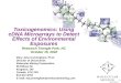 Toxicogenomics: Using cDNA Microarrays to Detect Effects of Environmental Exposures Research Triangle Park, NC October 15, 2002 Mary Jane Cunningham, Ph.D
