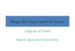 Keep the blue heart of rivers Subgrant of ETNAR Organic Agriculture Association