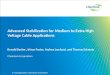 Advanced Stabilization for Medium to Extra High Voltage Cable Applications Ronald Becker, Irfaan Foster, Andrea Landuzzi, and Thomas Schmutz Chemtura Corporation