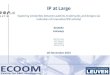 IP at Large Exploring similarities between patents, trademarks and designs (as indicators of innovative/IPR activity) ECOOM Antwerp Bart Van Looy Caro