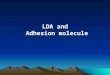 LDA and Adhesion molecule. 1.LDA ， CD ， CAM 2.Functional molecule and human leukocyte differentiation antigen on immunocyte surface 3. Clinical application