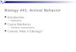 Biology 441: Animal Behavior Introductions  Notecards Course Mechanics  Syllabus; expectations Content: What is Ethology?