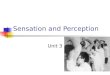 Sensation and Perception Unit 3. Sensation and Perception