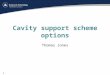 Cavity support scheme options Thomas Jones 1. Introduction Both cavities will be supported by the fundamental power coupler and a number of blade flexures