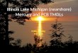Illinois Lake Michigan (nearshore) Mercury and PCB TMDLs