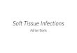 Soft Tissue Infections Adrian Boyle. Overview Cellulitis Necrotising Fasciitis Skin Abscess