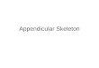 Appendicular Skeleton. Bones of the upper and lower limbs and the girdles (shoulder and hip) that attach the limbs to the axial skeleton. Bones of the