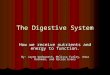 The Digestive System How we receive nutrients and energy to function. By: Jayne Wadsworth, Melissa Turley, Anna Rathman, and Nicole Evans
