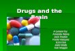 Drugs and the Brain A Lesson by: Amanda Wang Jack Raskin Paola Vasquez Ezra Dye Jade Walls Kati Maggio