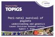 Peri-natal survival of piglets understanding and genetics Lauren Christian Endowed Lecture Egbert F. Knol
