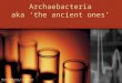 Archaebacteria aka ‘the ancient ones’ USDA NIFSI Food Safety in the Classroom© University of Tennessee, Knoxville 2006