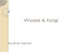Viruses & fungi By:Afnan Bakhsh. Fungi: : Mycology: study of fungi. Fungi: group of heterotrophic eukaryotic cells. Fungi called saprophytes because they