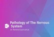 Pathology of The Nervous System Dr. Mohamed seyam phd.pt