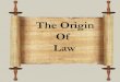 Origin of Law. In The Beginning The First Laws When people live longer populations grow – When populations grow chaos ensues – People need to control