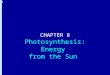 Chapter 8: Photosynthesis: Energy from the Sun CHAPTER 8 Photosynthesis: Energy from the Sun