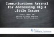 Communications Arsenal for Addressing Big & Little Issues Carol S. Weber, APR Director of Public Relations Wisconsin Dental Association