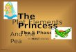Plot Elements The 5 Phases In MOST stories Standard 2.1.1 The Princess And the Pea